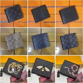 Louis Vuitton LV wallet(Own factory can wholesale)-0170  