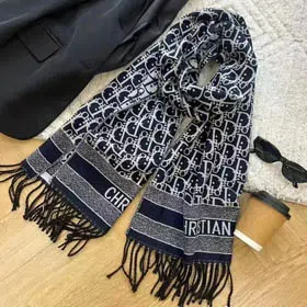Louis Vuitton LV Dior Scarf（16 styles)-0281  
