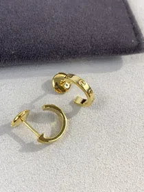 Cartier letter screw narrow earrings-4077  